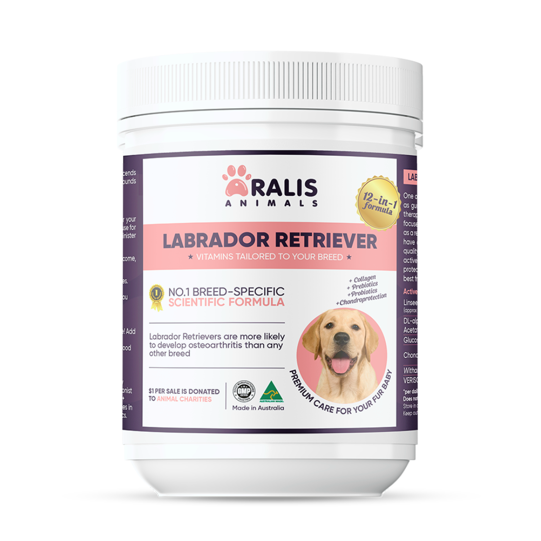 Best vitamins 2025 for labrador puppy