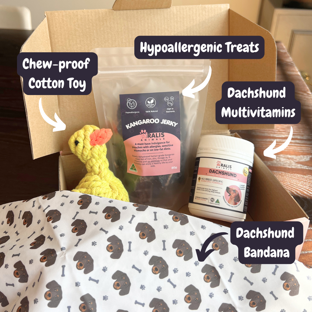 Dachshund Health & Play Box