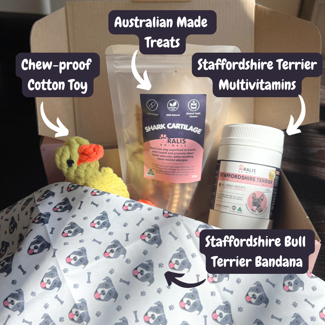 Staffy Health & Play Box