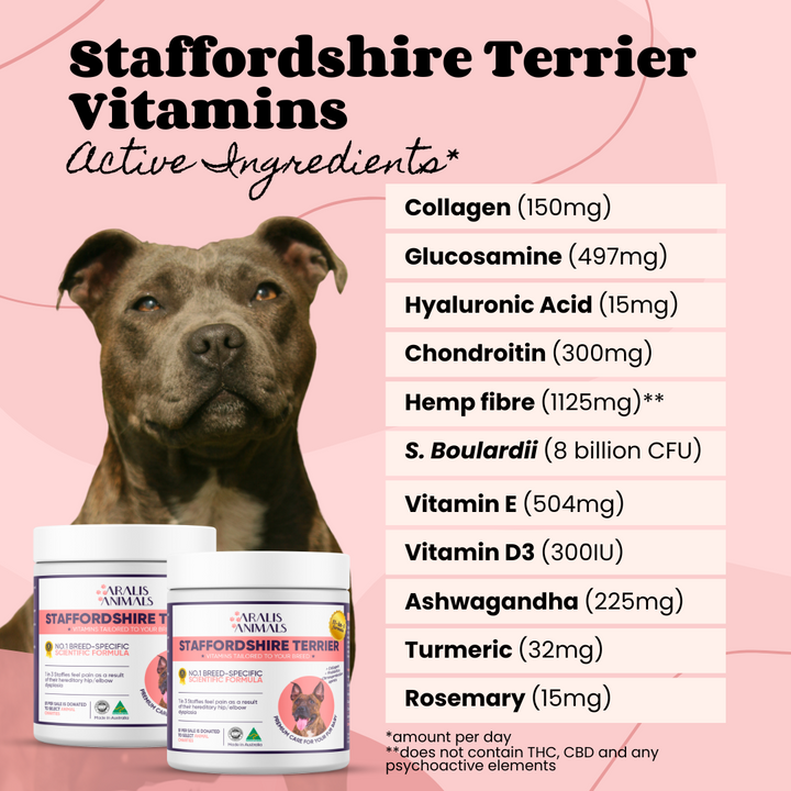 Staffordshire Terrier